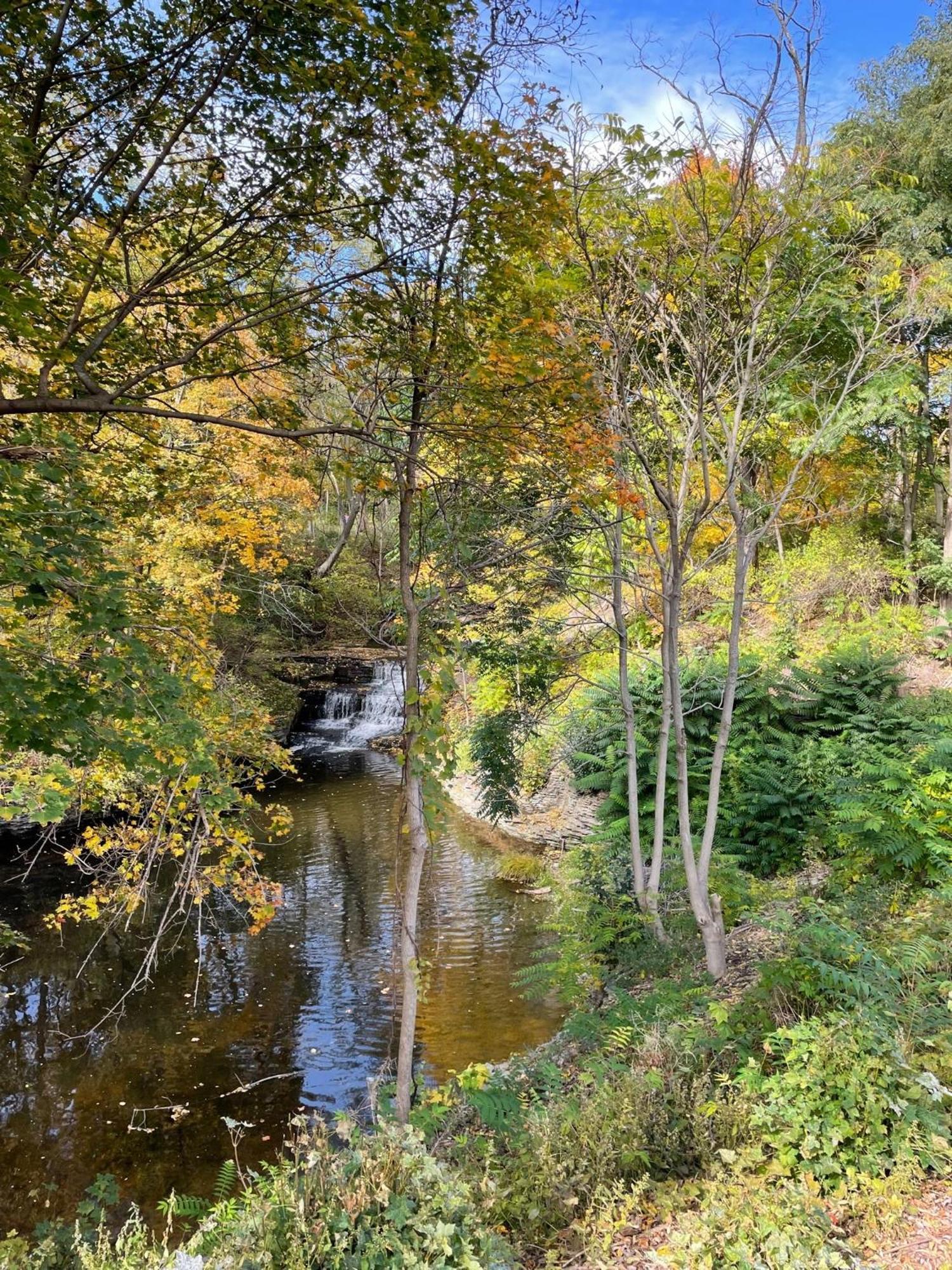 The Fallsview At Burdett Falls Rum bild